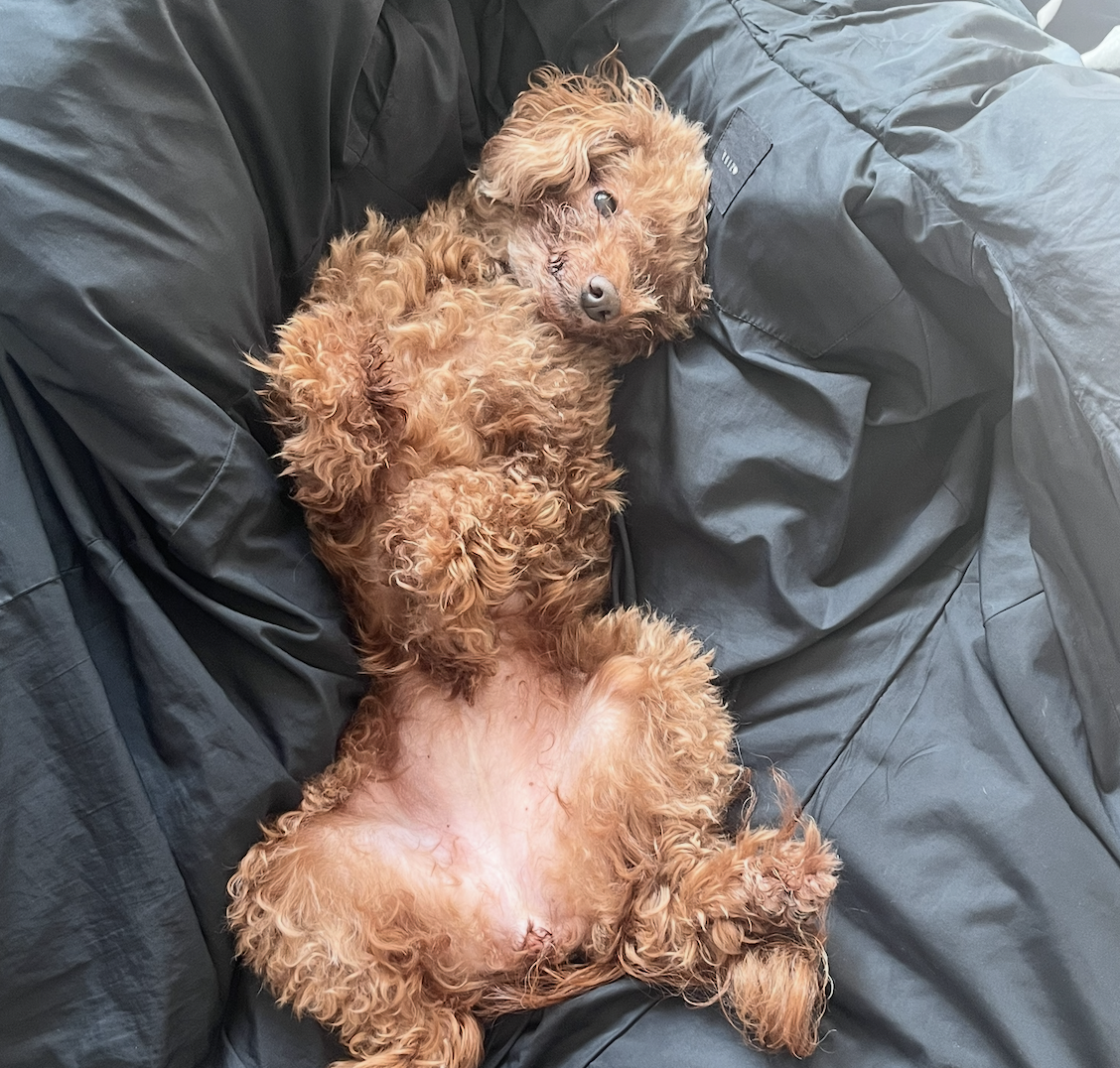 스크린샷 2025-07-20 오전 2.23.33.png