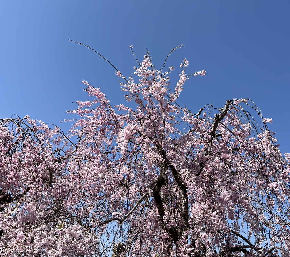 스크린샷 2025-07-20 오전 2.24.13.png